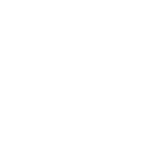 grey fox bluegrass festival logo white