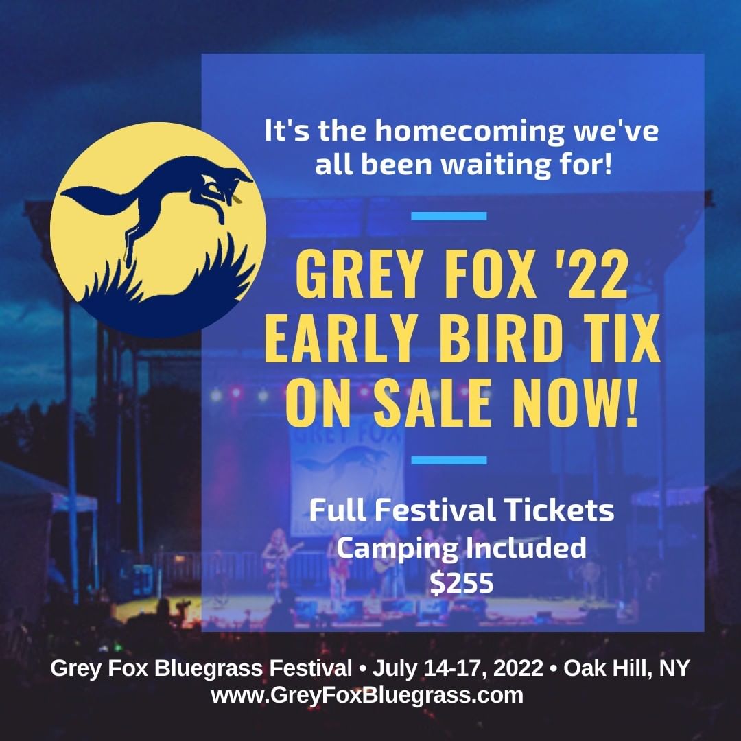 grey fox early bird sale