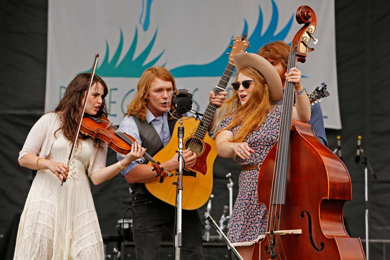 grey fox 2014 barefoot movement