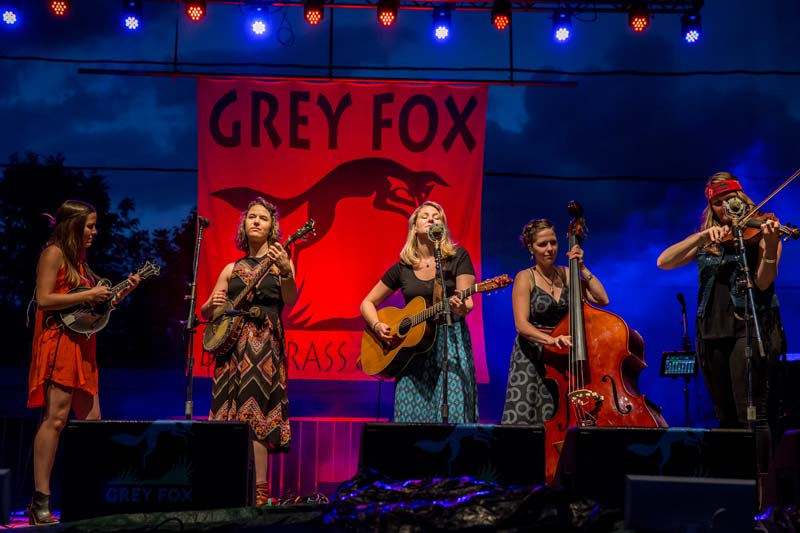 grey fox 2016 della mae