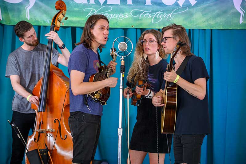 Bluegrass New Artists / Emerging Artists Grey Fox Bluegrass Festival